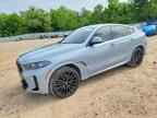 2024 BMW X6