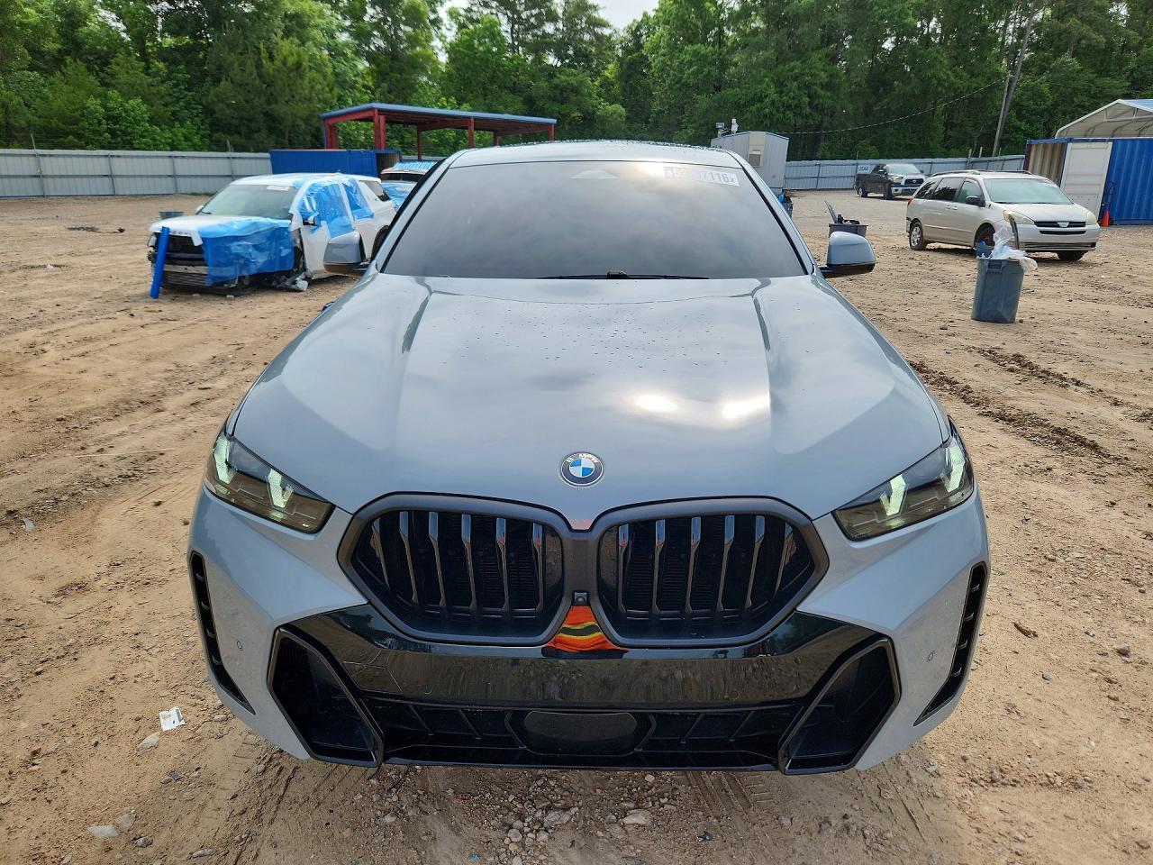 2024 BMW X6