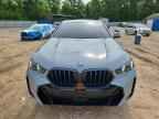 2024 BMW X6