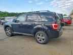 2009 FORD ESCAPE