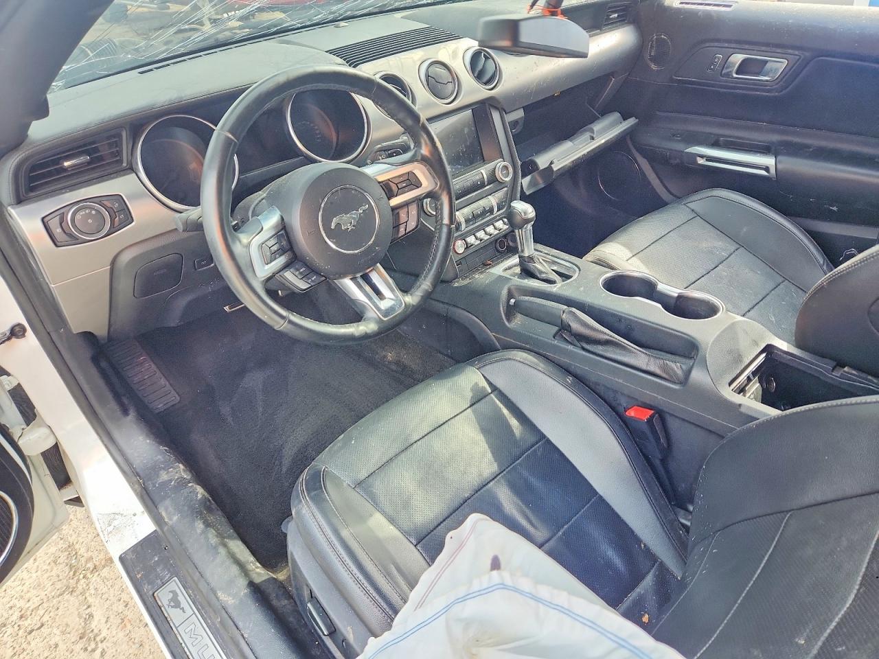 2019 FORD MUSTANG