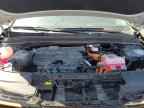 2025 KIA Carnival