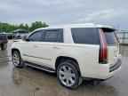 2015 CADILLAC ESCALADE
