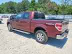 2010 FORD F-150 Lightning