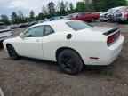 2010 DODGE Challenger