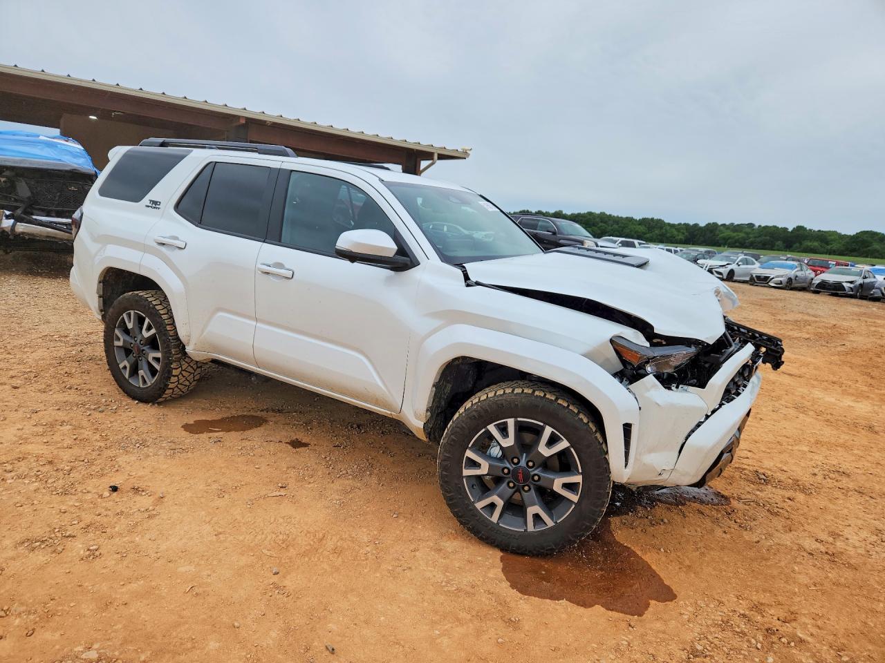 2025 TOYOTA 4Runner