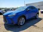 2025 LEXUS NX 350