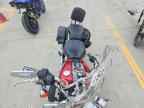 2005 HARLEY-DAVIDSON FLSTF