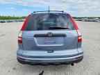 2010 HONDA CR-V