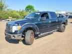 2011 FORD F-150 Lightning