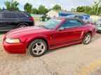 2002 FORD MUSTANG