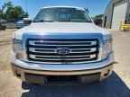 2014 FORD F-150 Lightning