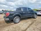 2010 FORD F-150 Lightning