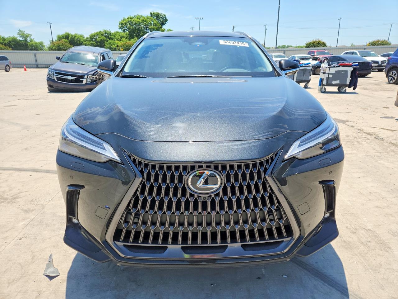 2025 LEXUS NX 350