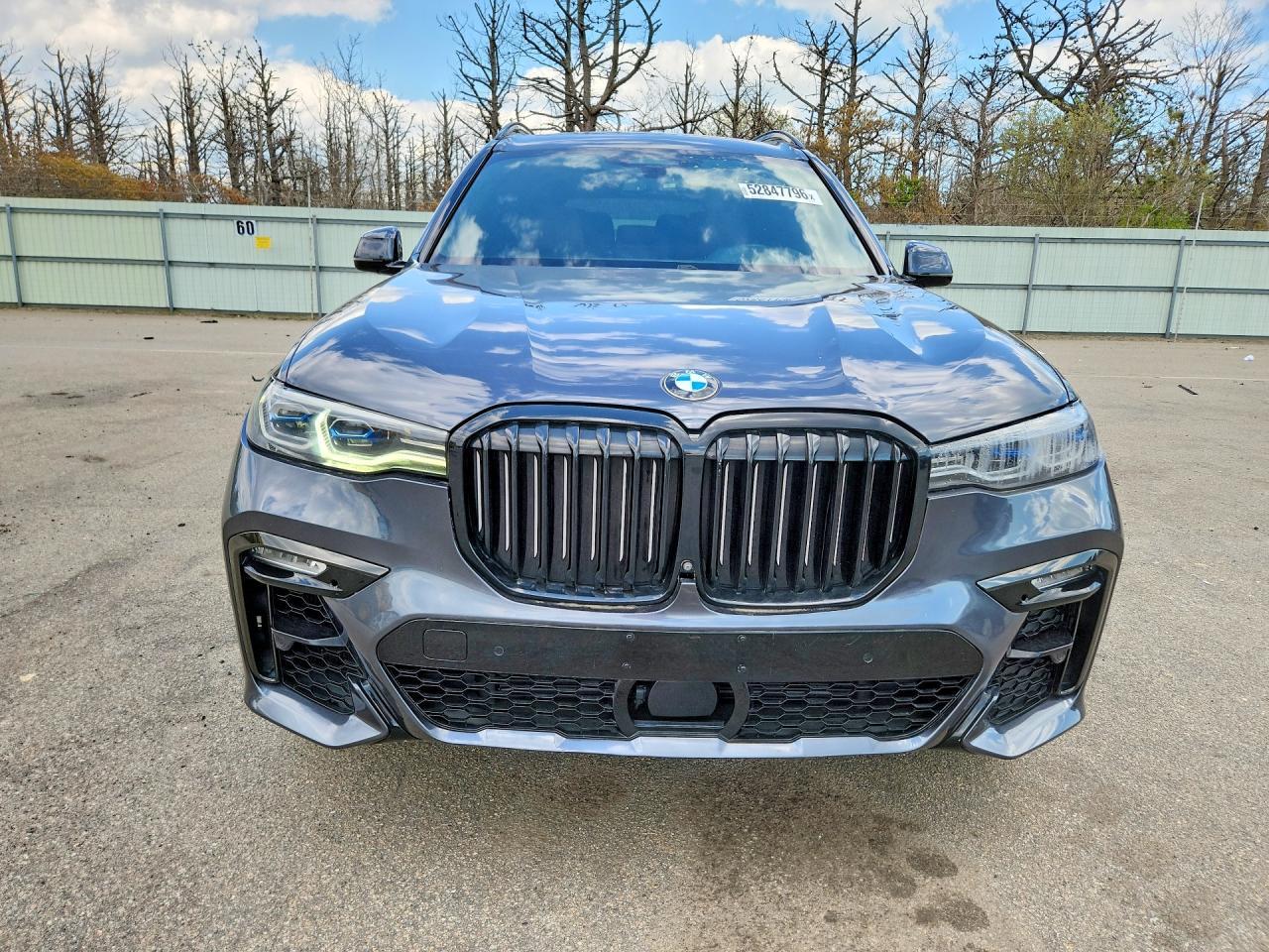 2019 BMW X7