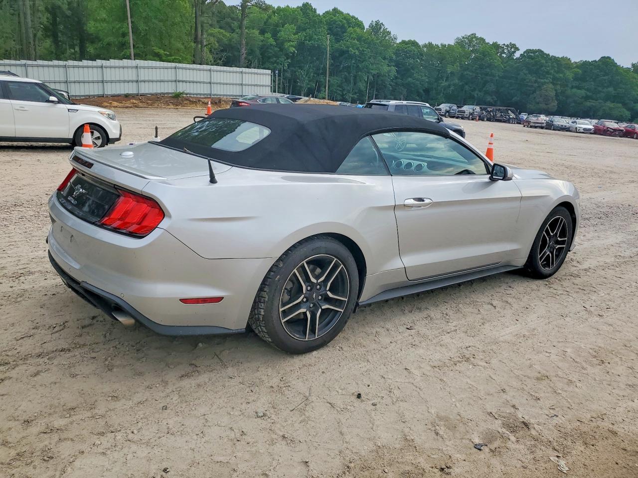 2019 FORD MUSTANG