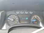2013 FORD F-150 Lightning