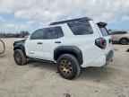2025 TOYOTA 4Runner