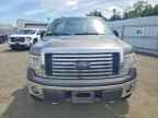 2010 FORD F-150 Lightning