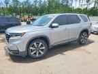 2023 HONDA PILOT