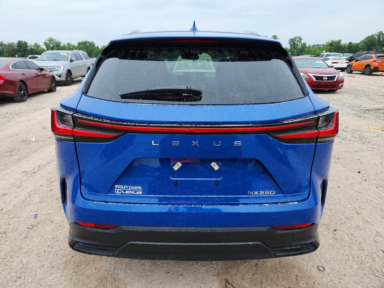 2025 LEXUS NX 250