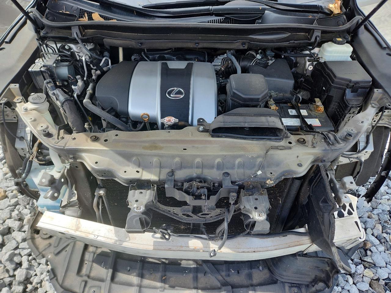 2019 LEXUS RX 350