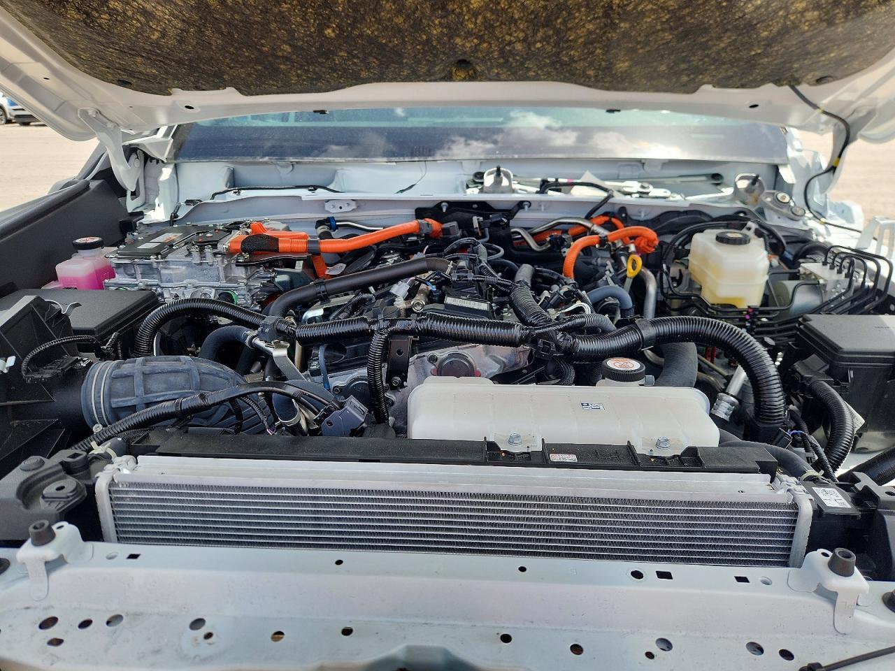 2025 TOYOTA 4Runner