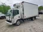 2023 ISUZU Npr Hd