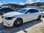 2023 LEXUS ES 300H