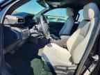 2025 TOYOTA 4Runner