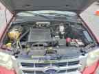2009 FORD ESCAPE
