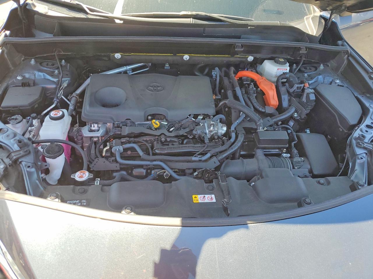 2024 TOYOTA VENZA