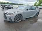 2025 LEXUS IS 350