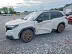 2025 SUBARU FORESTER