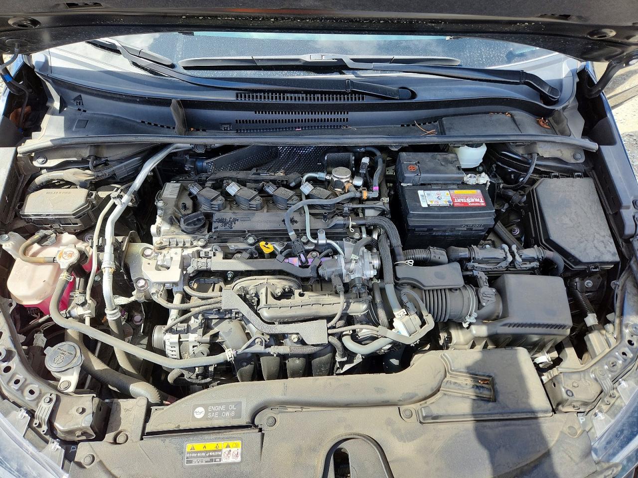 2023 TOYOTA COROLLA