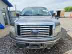 2010 FORD F-150 Lightning