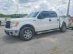 2009 FORD F-150 Lightning