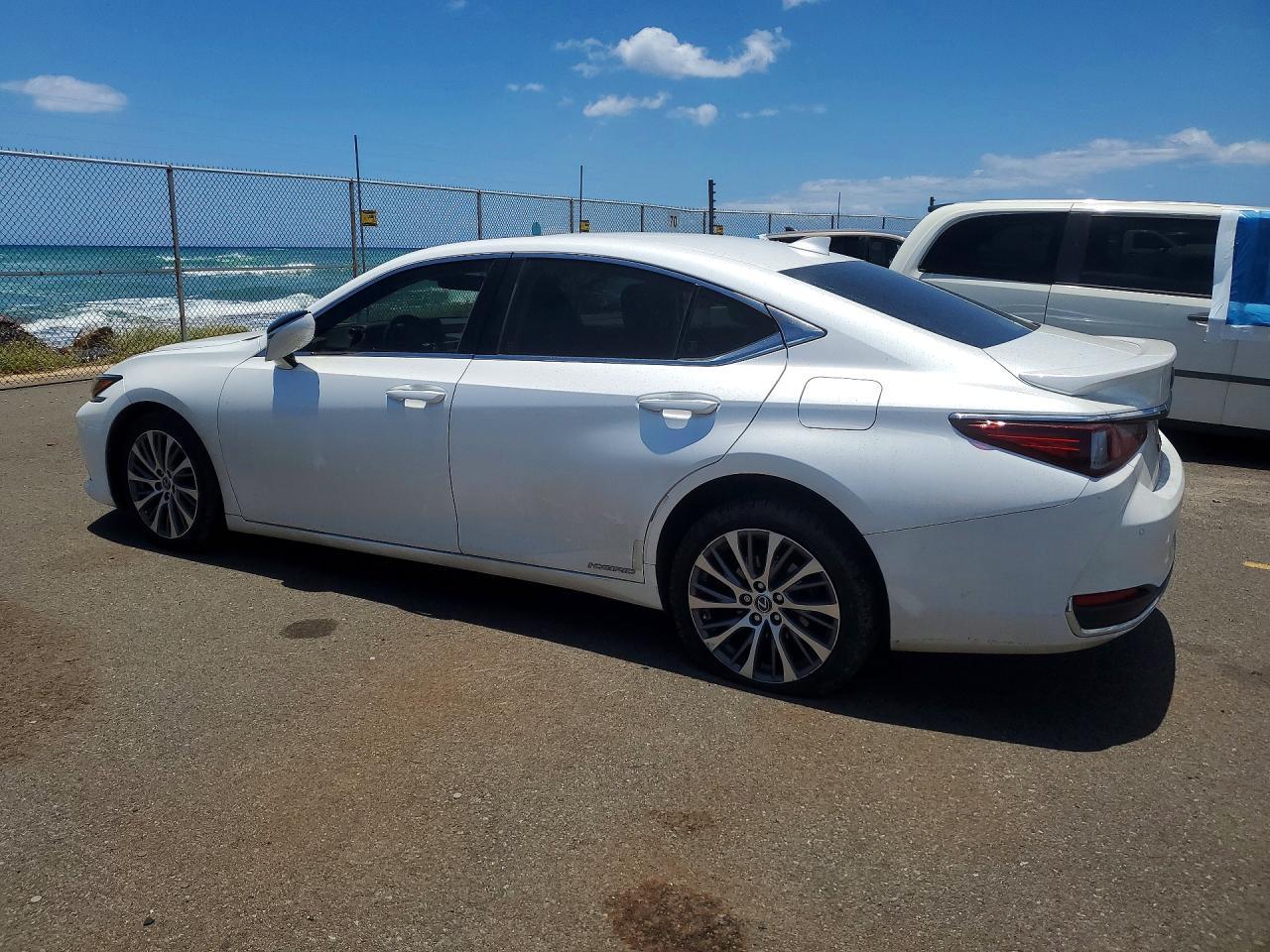 2019 LEXUS ES 300H