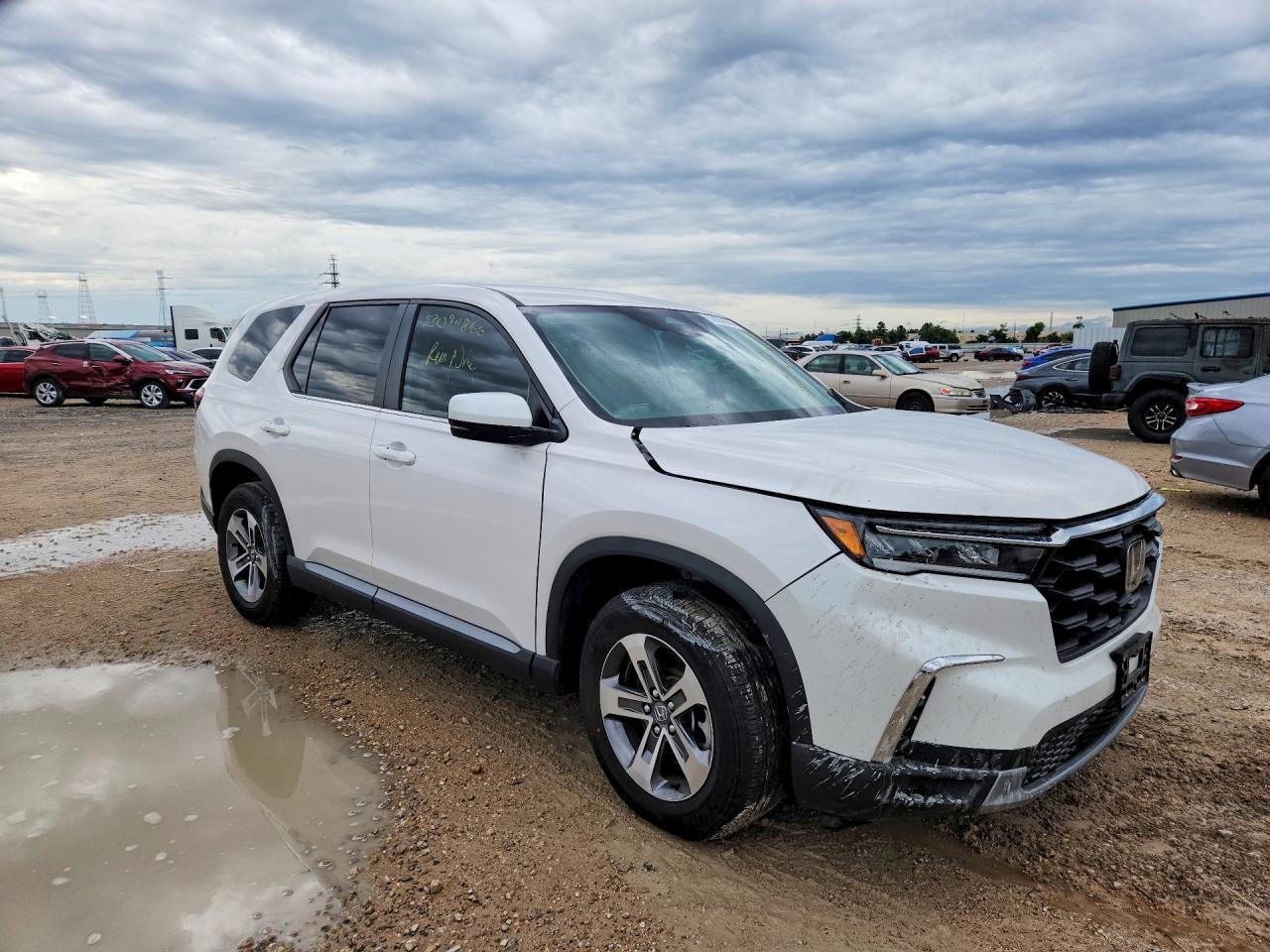 2025 HONDA PILOT