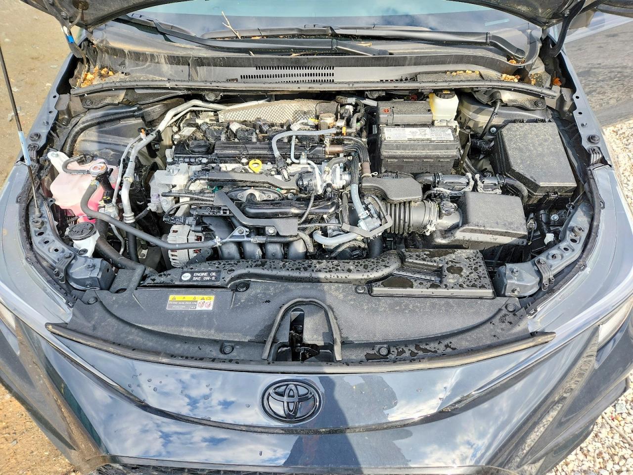 2026 TOYOTA COROLLA