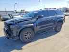 2025 TOYOTA 4Runner