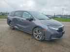 2024 HONDA ODYSSEY