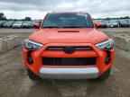 2024 TOYOTA 4Runner