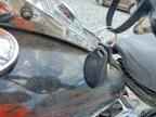 2001 HARLEY-DAVIDSON FLSTCI