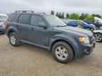 2010 FORD Escape Hybrid