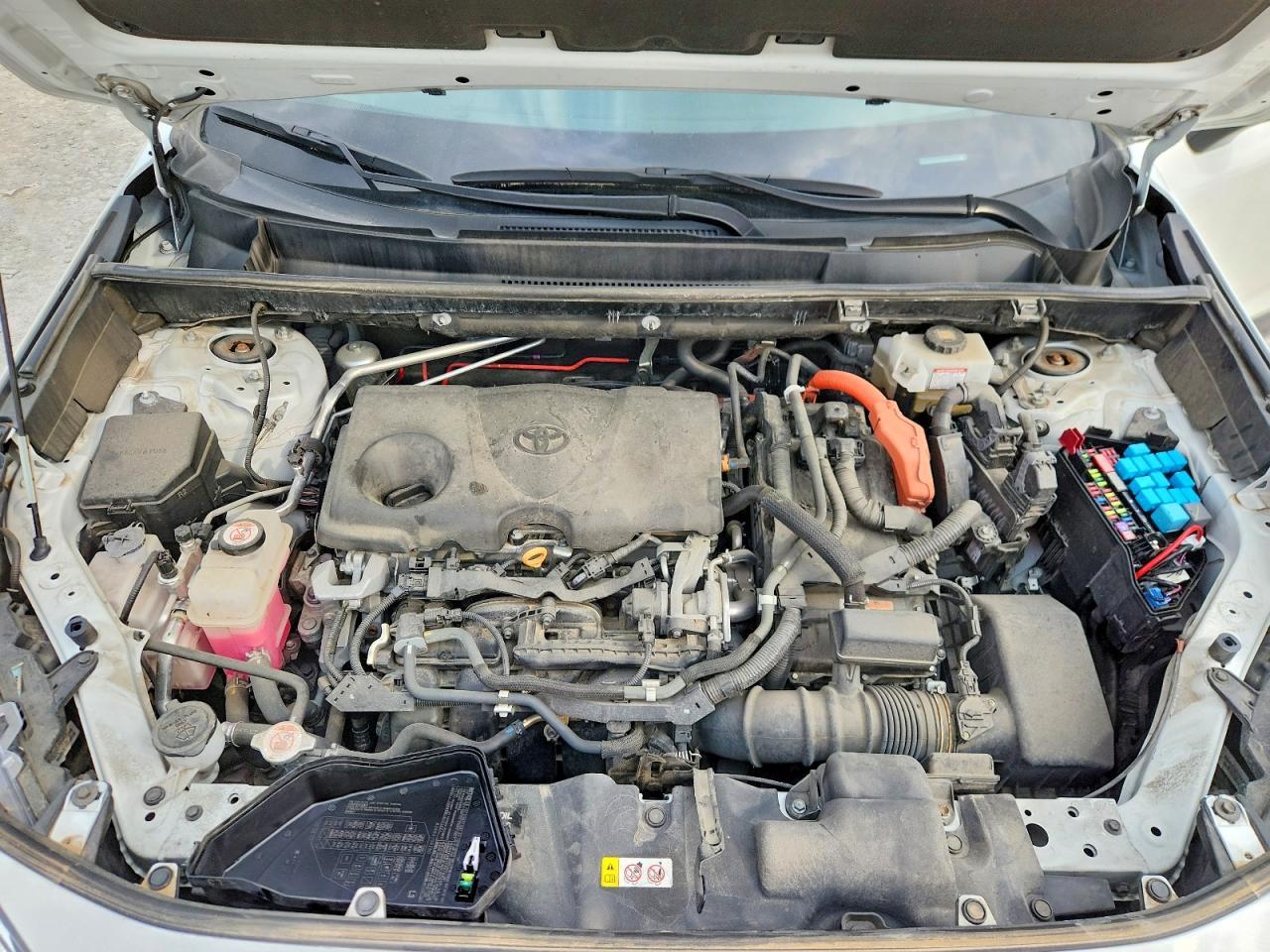 2019 TOYOTA RAV4