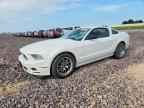 2013 FORD MUSTANG