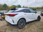 2024 LEXUS RX 350