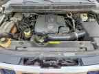 2010 NISSAN Armada