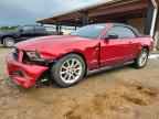 2010 FORD MUSTANG